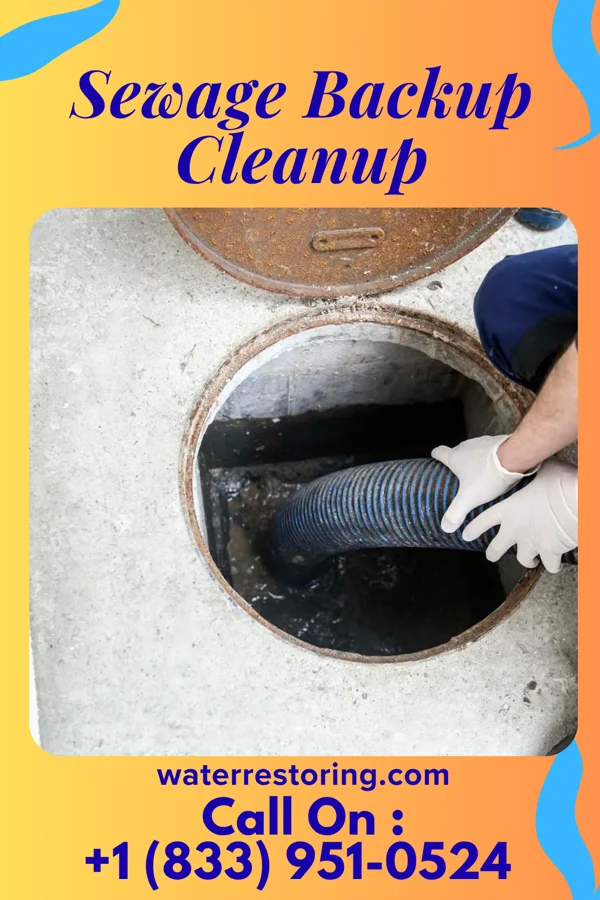 Sewage Backup Cleanup in Arthur, NE